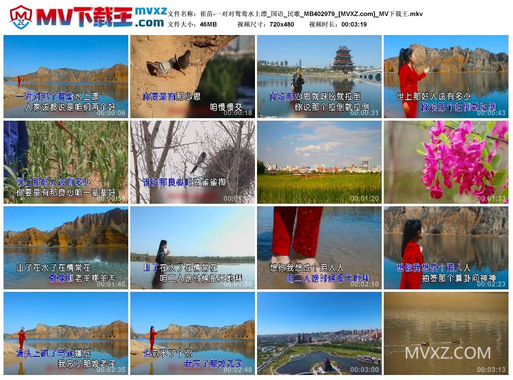 崔苗-一对对鸳鸯水上漂_国语_民歌_MB402979